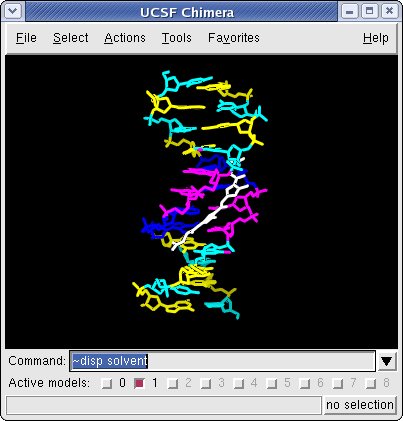 UCSF Chimera - DNA bound netropsin