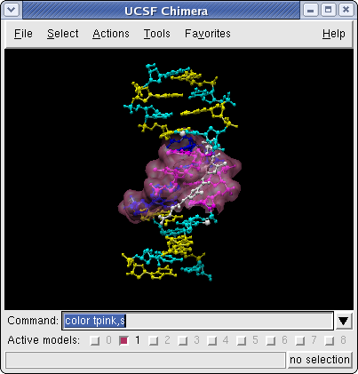 UCSF Chimera - DNA bound netropsin