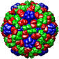 Bacteriophage phix174+scaffold, 1al0