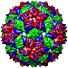 Bacteriophage MS2, 1bms