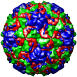 Human Rhinovirus 2, 1fpn