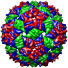 Bacteriophage FR, 1frs