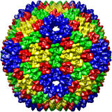 Bacteriophage PRD1 SUS607 mutant model, 1gw8