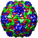 Echovirus 11 (Strain 207), 1h8t