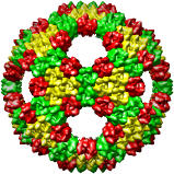 Bacteriophage PRD1 Model, 1hb5