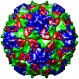 Poliovirus Type 1 (Mahoney Strain), 1hxs