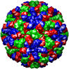 Norwalk Virus Capsid, 1ihm