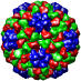 Tomato Aspermy Virus, 1laj