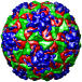 Human Rhinovirus 3, 1rhi