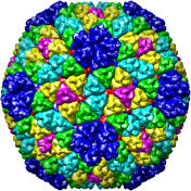 Rice Dwarf Virus, 1uf2