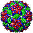 Bacteriophage MS2, 2ms2