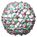 Poliovirus Type 3 (Sabin Strain), 1pvc