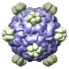 Bacteriophage phix174, 2bpa