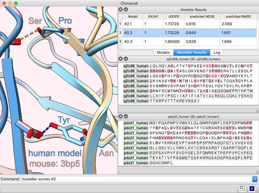 heterodimer modeling screenshot