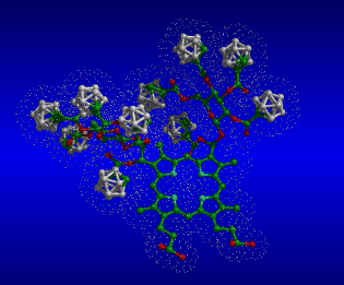 Image of boronated saccharide porphyrin