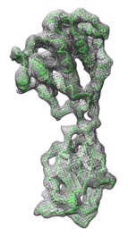 1bvp fit to density