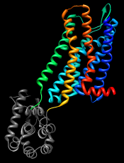 template structure 4DKL_A