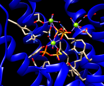 computer generated image