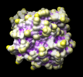 computer generated image