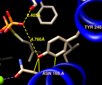 computer generated image