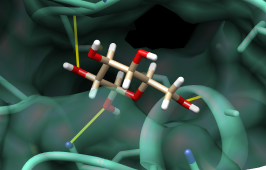 computer generated image