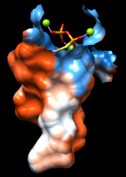 computer generated image