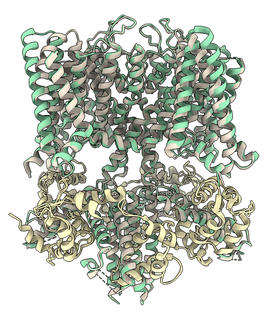 computer generated image