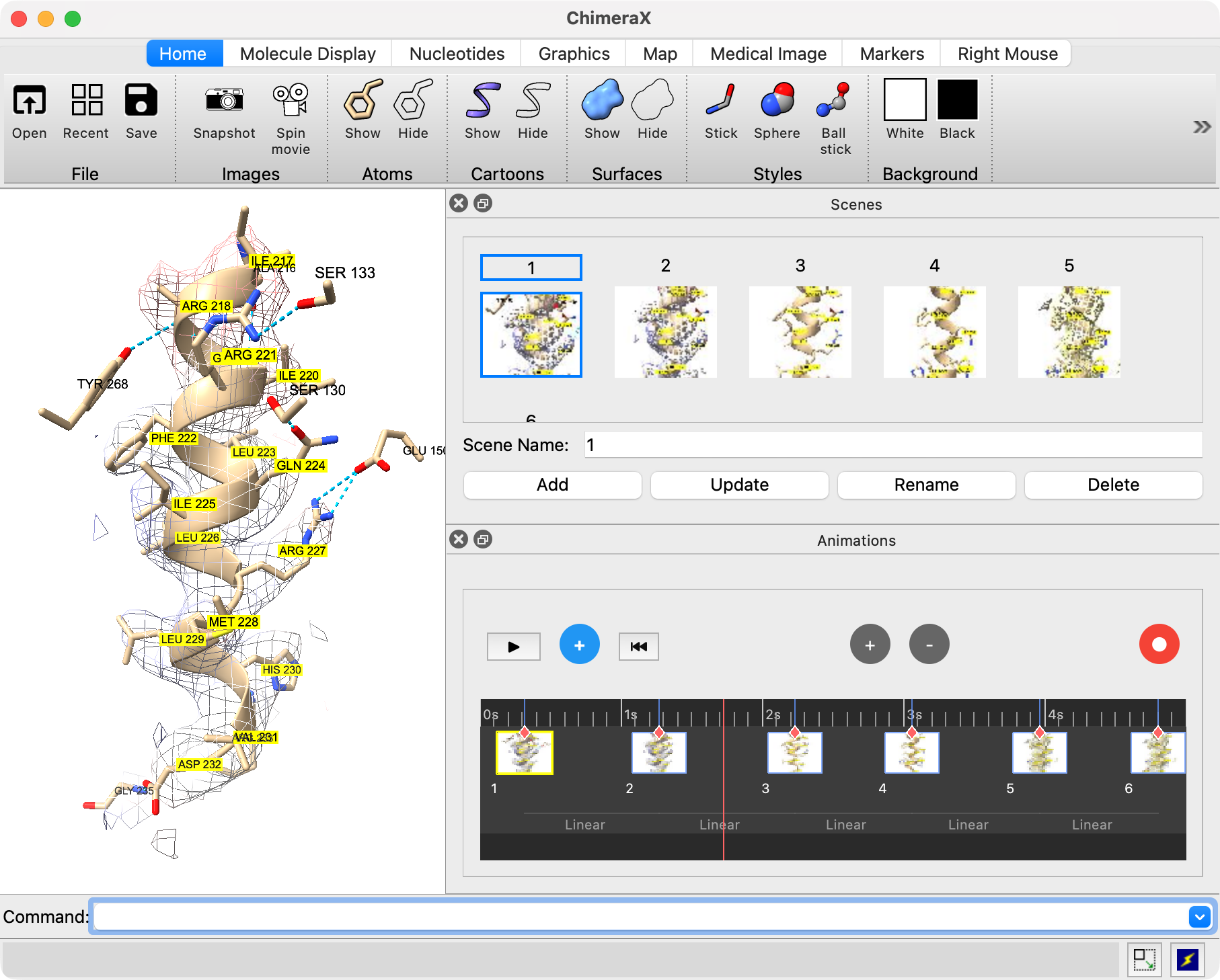 computer generated image