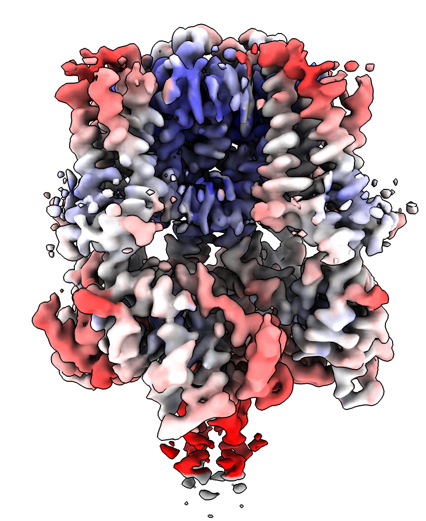 computer generated image