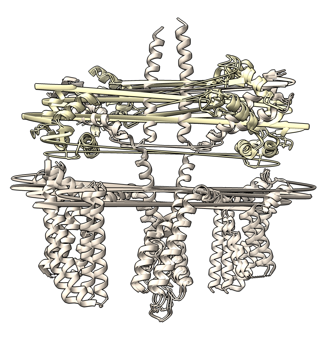 computer generated image