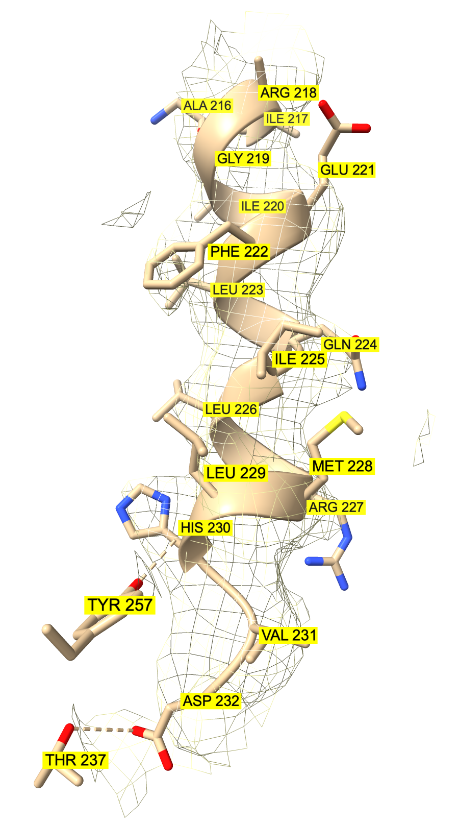 computer generated image