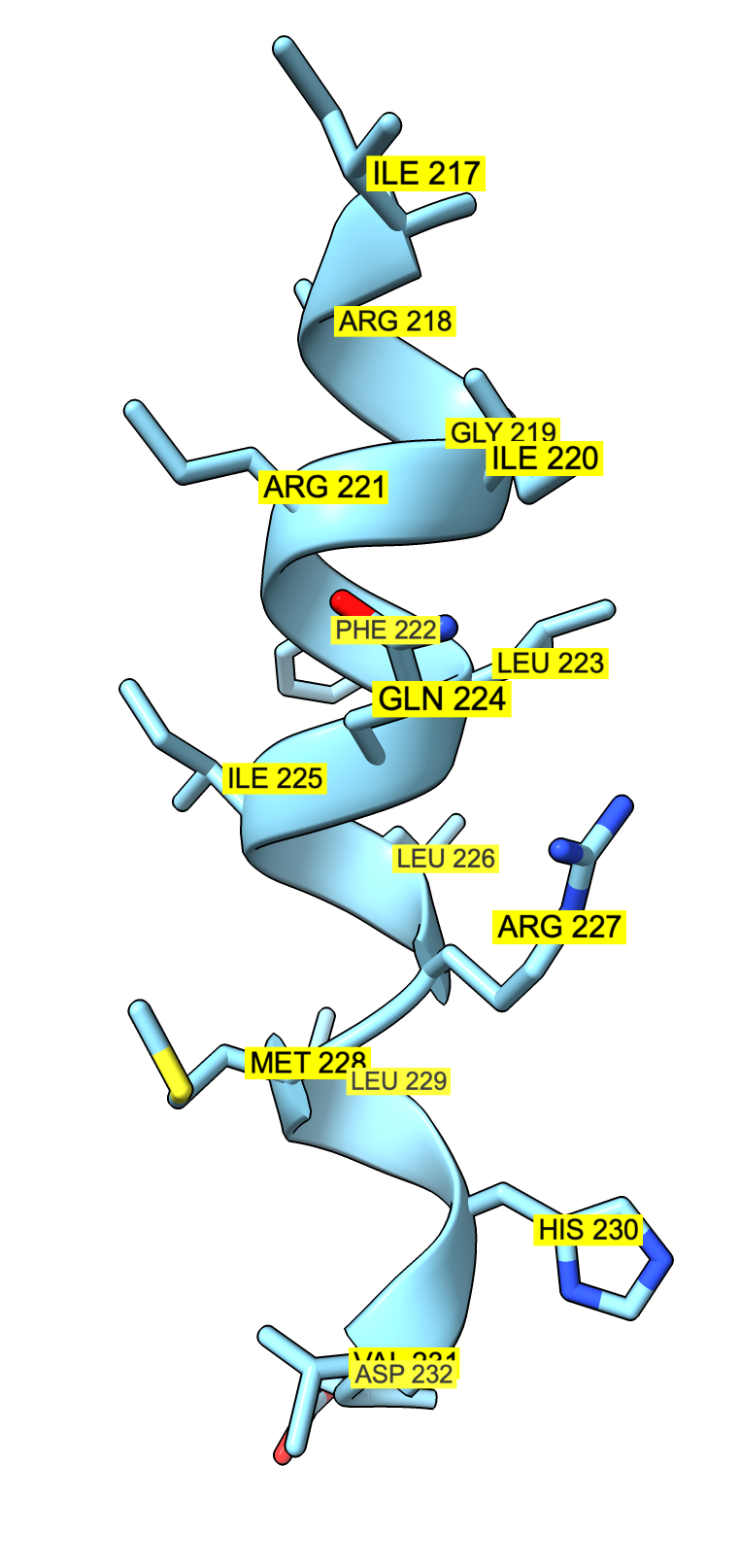 computer generated image