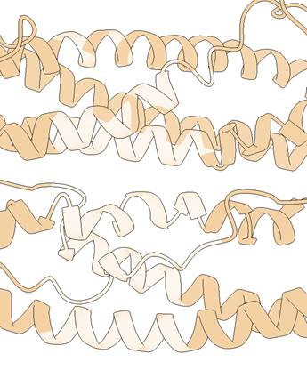 Added by email2trac Added by email2trac