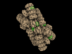 Added by email2trac Added by email2trac