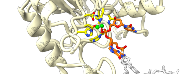 Added by email2trac Added by email2trac